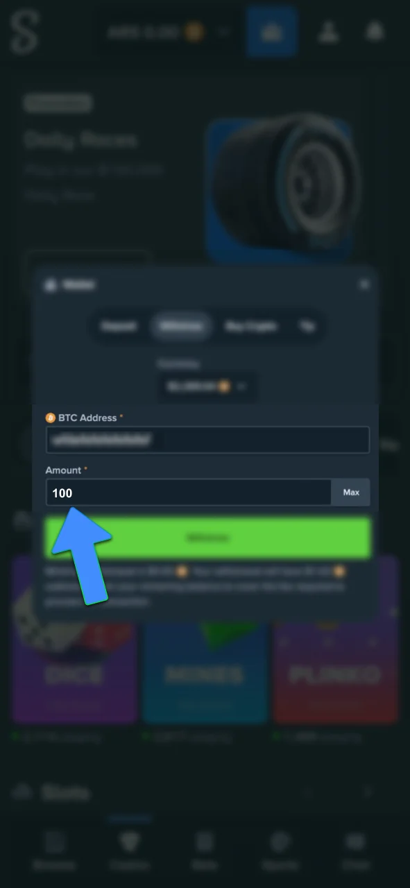 Enter your withdrawal amount on Stake and confirm payment details.